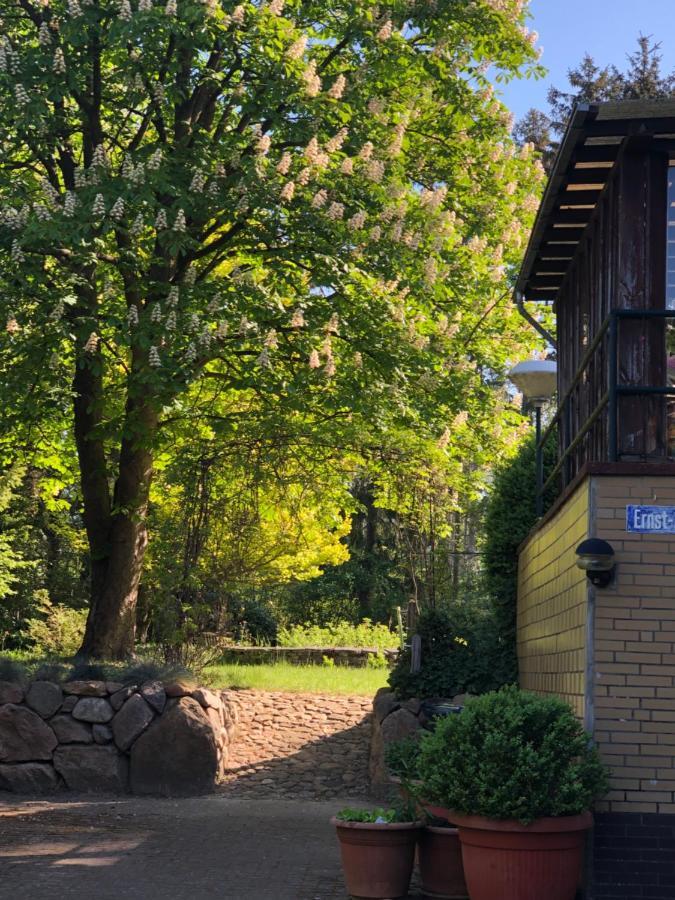 HannaHs Salzhausen Exteriör bild